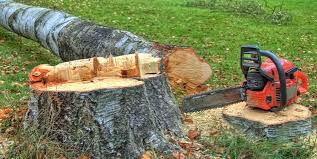 Best Emergency Tree Removal  in Su Oswego, NY