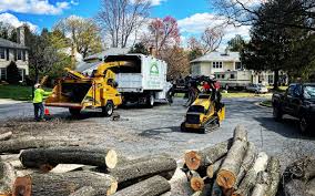 Best Arborist Consultation Services  in Su Oswego, NY