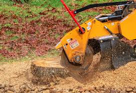 Best Fruit Tree Pruning  in Su Oswego, NY