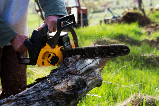 Lawn Maintenance Plans in Suny Oswego, NY