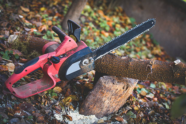 Best Soil Testing and Treatment  in Su Oswego, NY